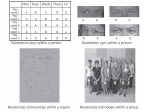 Different possible units for random allocation